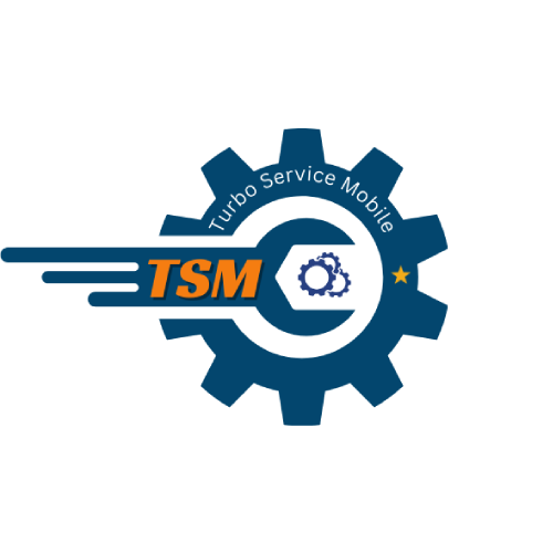 TSM TOOL - 3 Monthes 1 Pc [AUTO API] 